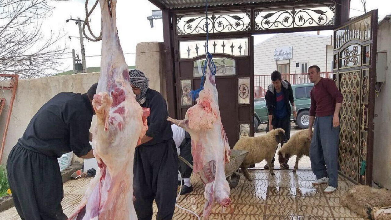 ۶ دانش آموز نخبه سیستان و بلوچستان به مرحله کشوری المپیادهای علمی اعزام شدند