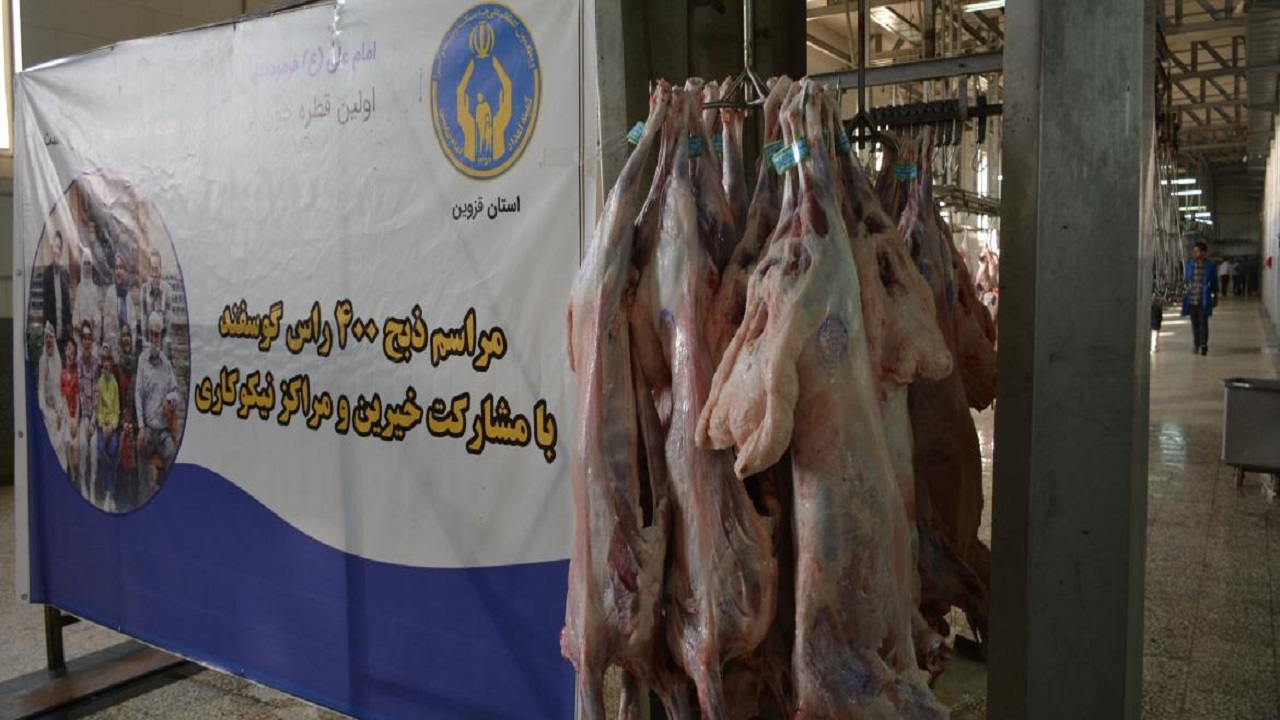 رشد نذر قربانی در عید قربان در استان قزوین