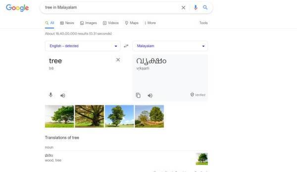 ترجمه به زبان دیگر