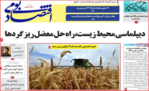 اقتصاد بومی