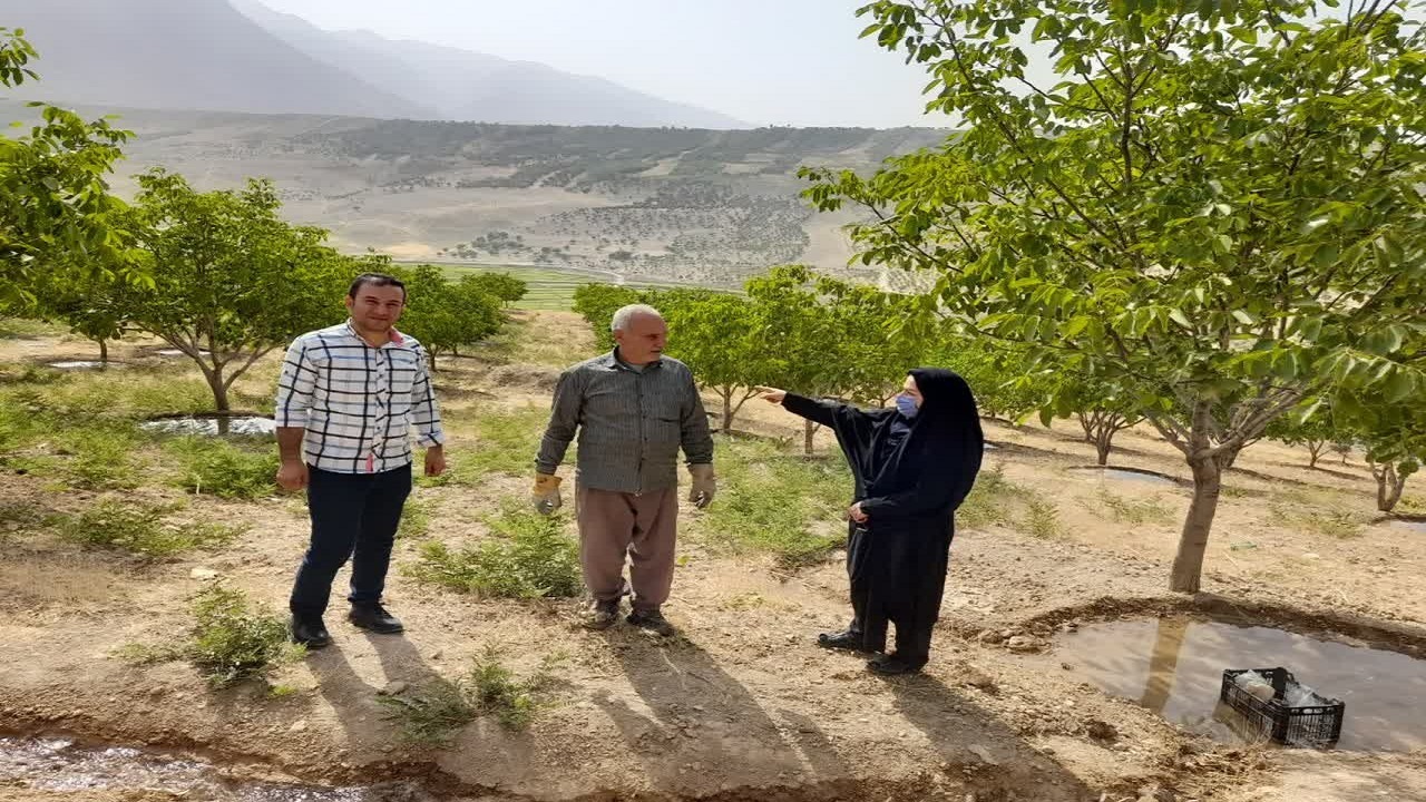 آغاز اجرای شبکه آبیاری تلفیقی در اراضی بهشت آباد اردل