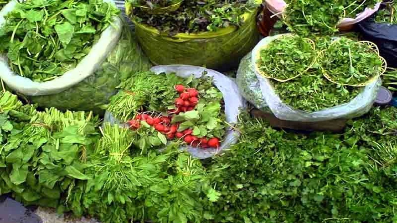 نظارت مستمر بر سبزی کاری‌های اطراف رودخانه قره سو در کرمانشاه