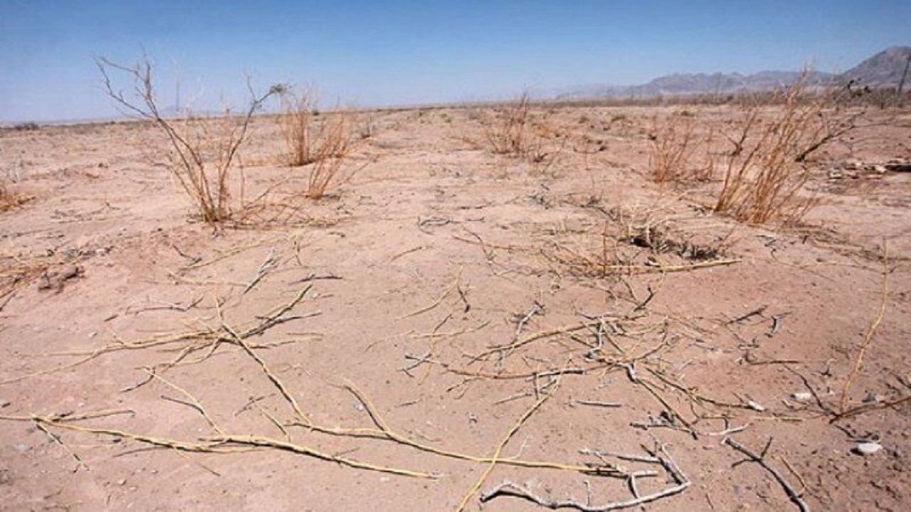 ۲۰۰ هکتار نهال کاری در مناطق بیابانی بویین زهرا انجام می‌شود