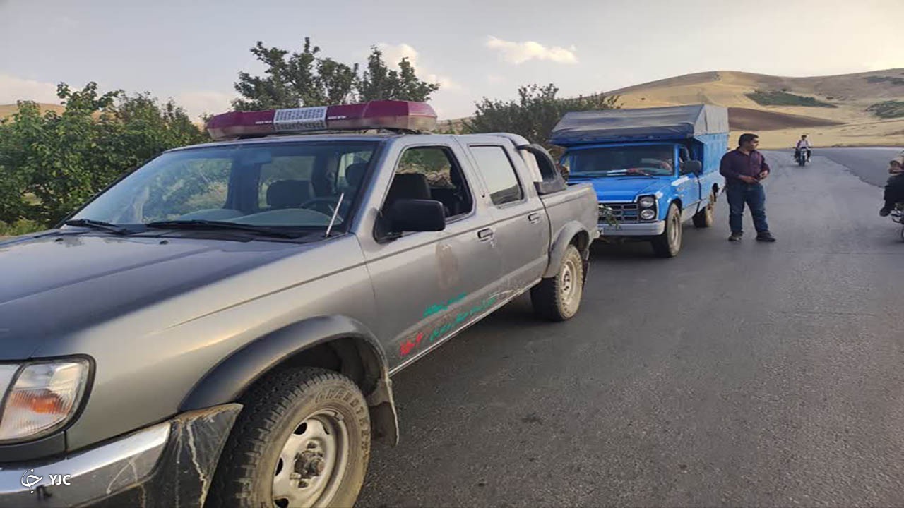 محموله ۵ تنی چوب قاچاق در مهاباد توقیف شد