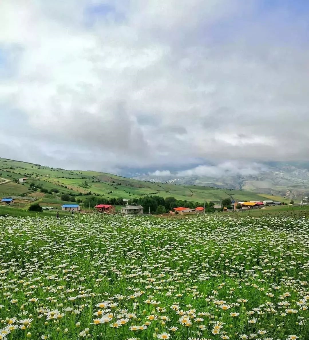 طبیعت تابستانی روستای استارم در قالب تصاویر