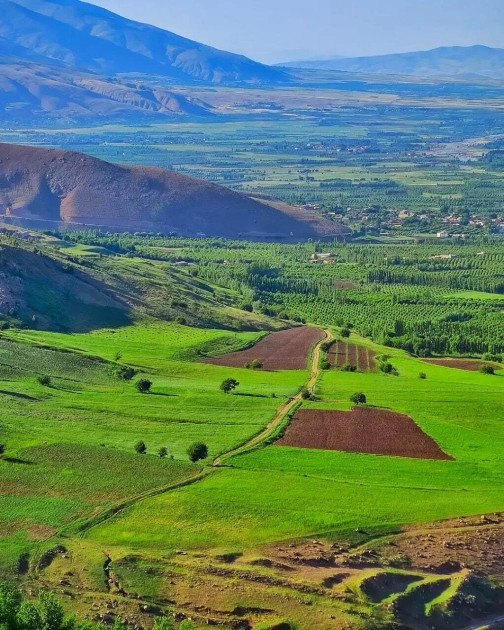 تصاویری از طبیعت کوه دالامپر در شمال غرب کشور