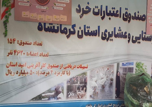 برپایی نمایشگاه توانمندی&zwnj;های زنان روستایی و عشایری استان