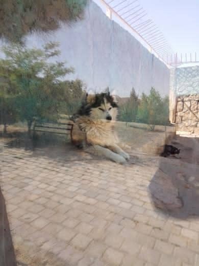 از