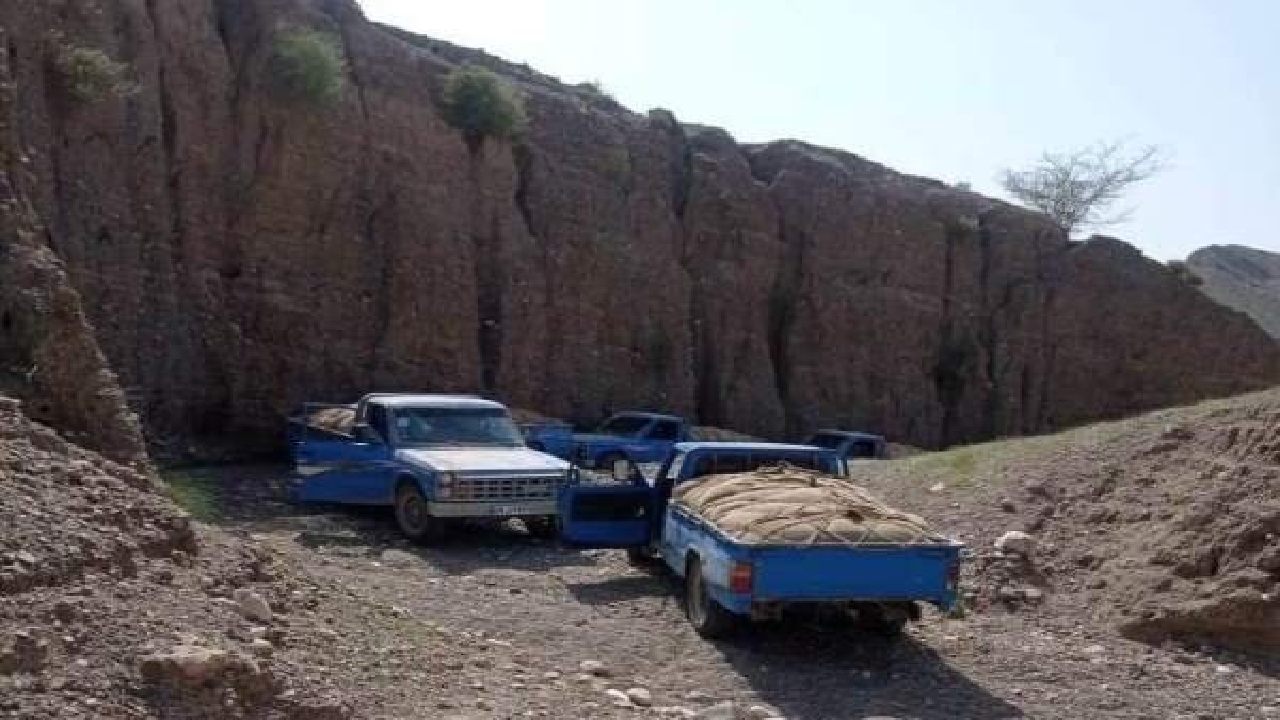 کشف بیش از هزار لیتر سوخت قاچاق در شهرستان کهگیلویه