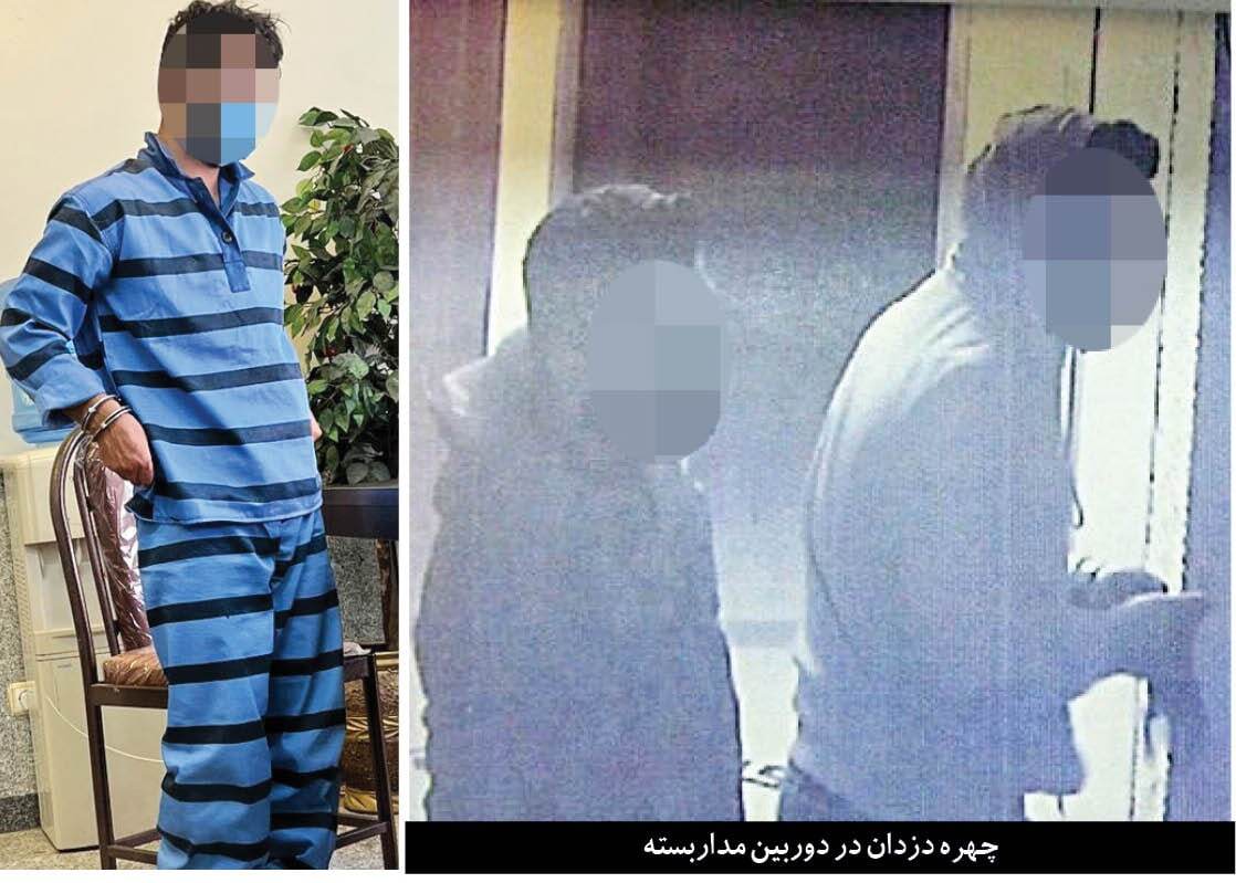 دستگیری سارقان