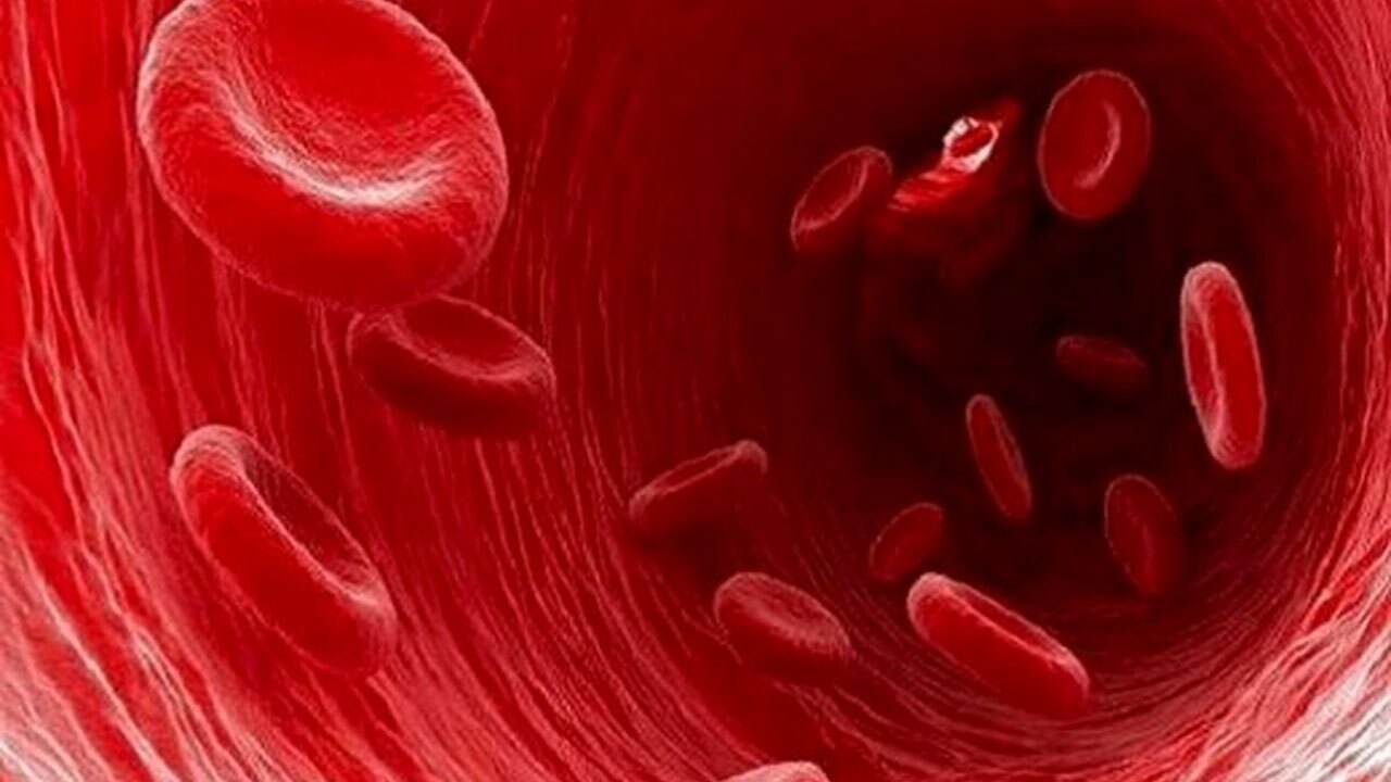 میوه‌هایی که برای جلوگیری از کم خونی مفید است + فیلم