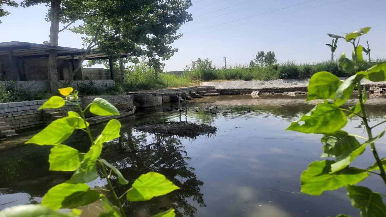 صدور ۳ مجوز گردشگری کشاورزی در مازندران