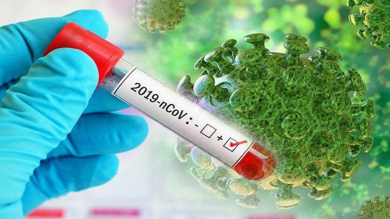تور کرونا ۴۶ نفر دیگر را گرفتار کرد