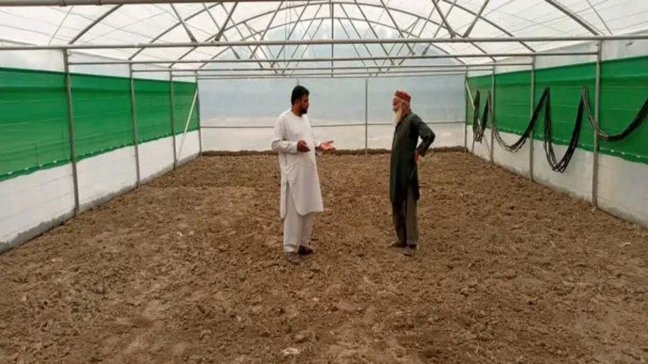 ایجاد ۱۵ سبزخانه ویژه ای زنان نیازمند در ولایت تخار + تصاویر