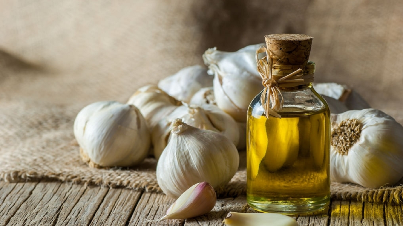 طرح فناورانه اسانس و عصاره گیری گیاه سیر اجرا می شود