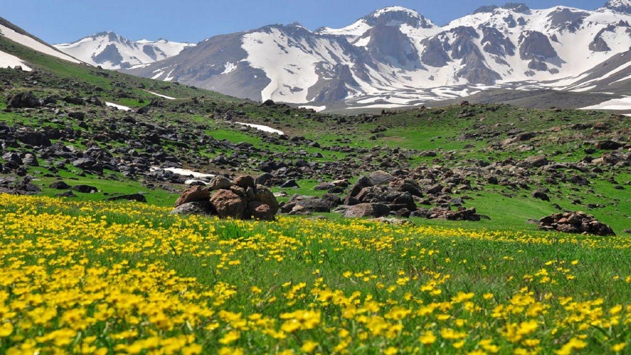 نمایی از طبیعت تابستانی دامنه های کوه سبلان + فیلم
