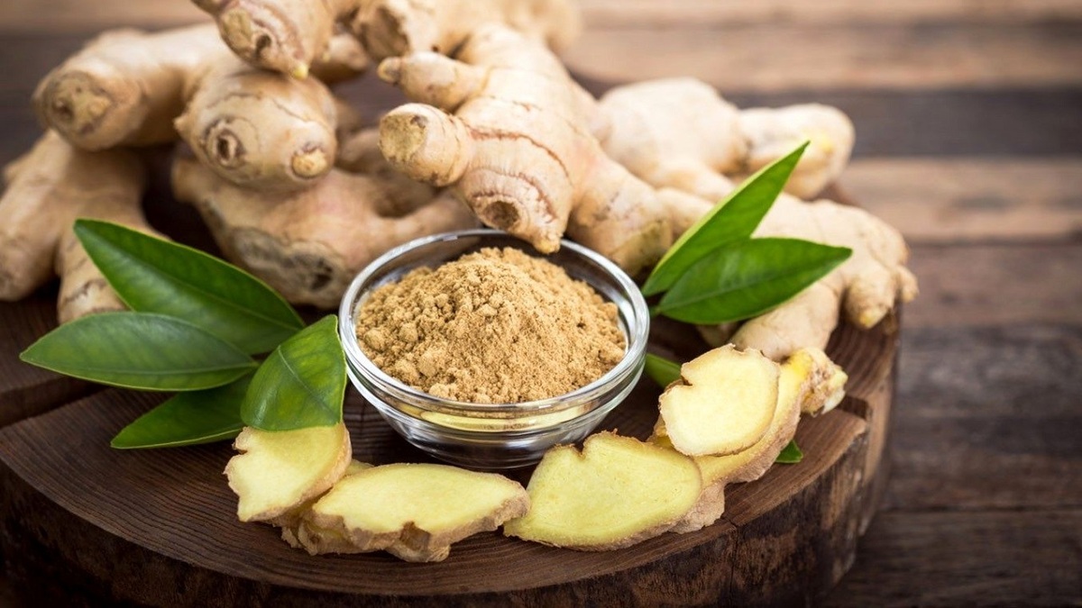 آموزش نگهداری از گیاه شفلر + فیلم
