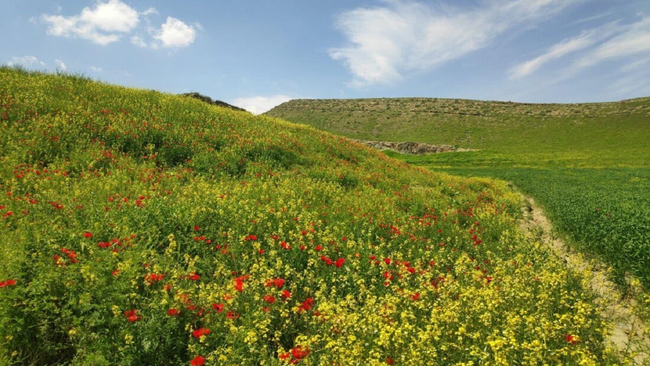 آخر هفته خنک میهمان تابستان شرجی و گرم گیلان