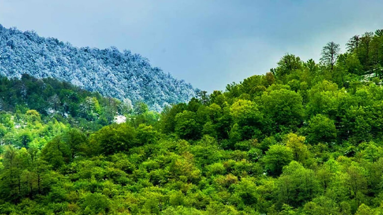فیلمی از طبیعت ارتفاعات روستای کفترکار