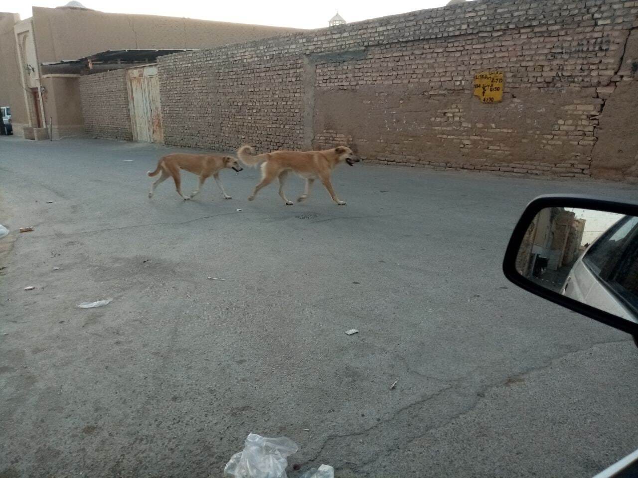 از