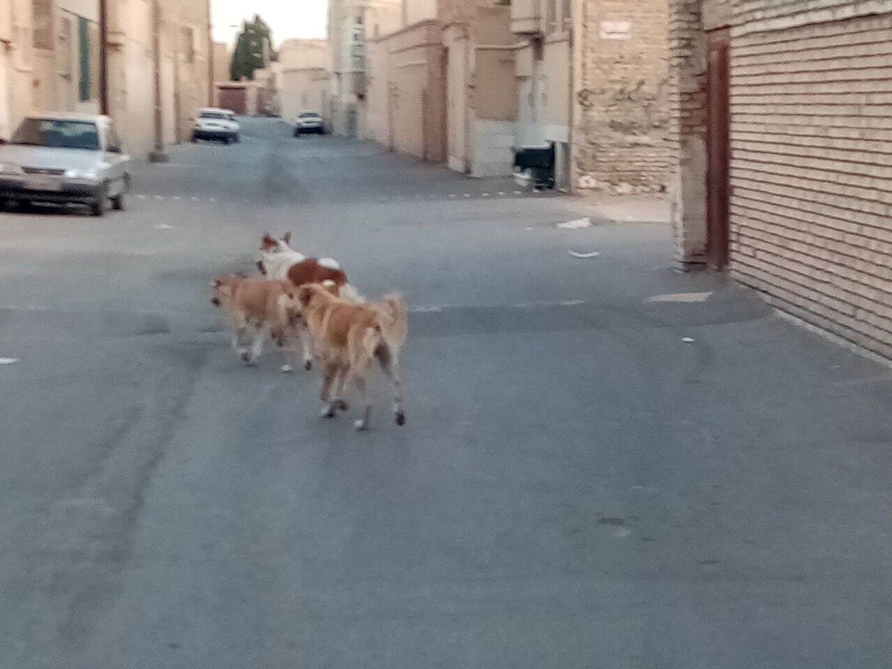 از