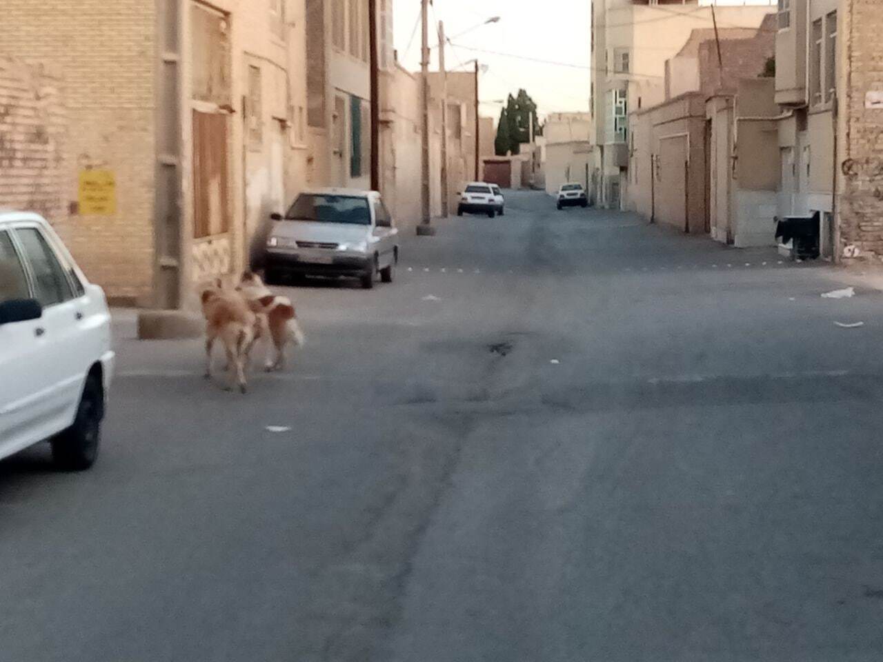 از
