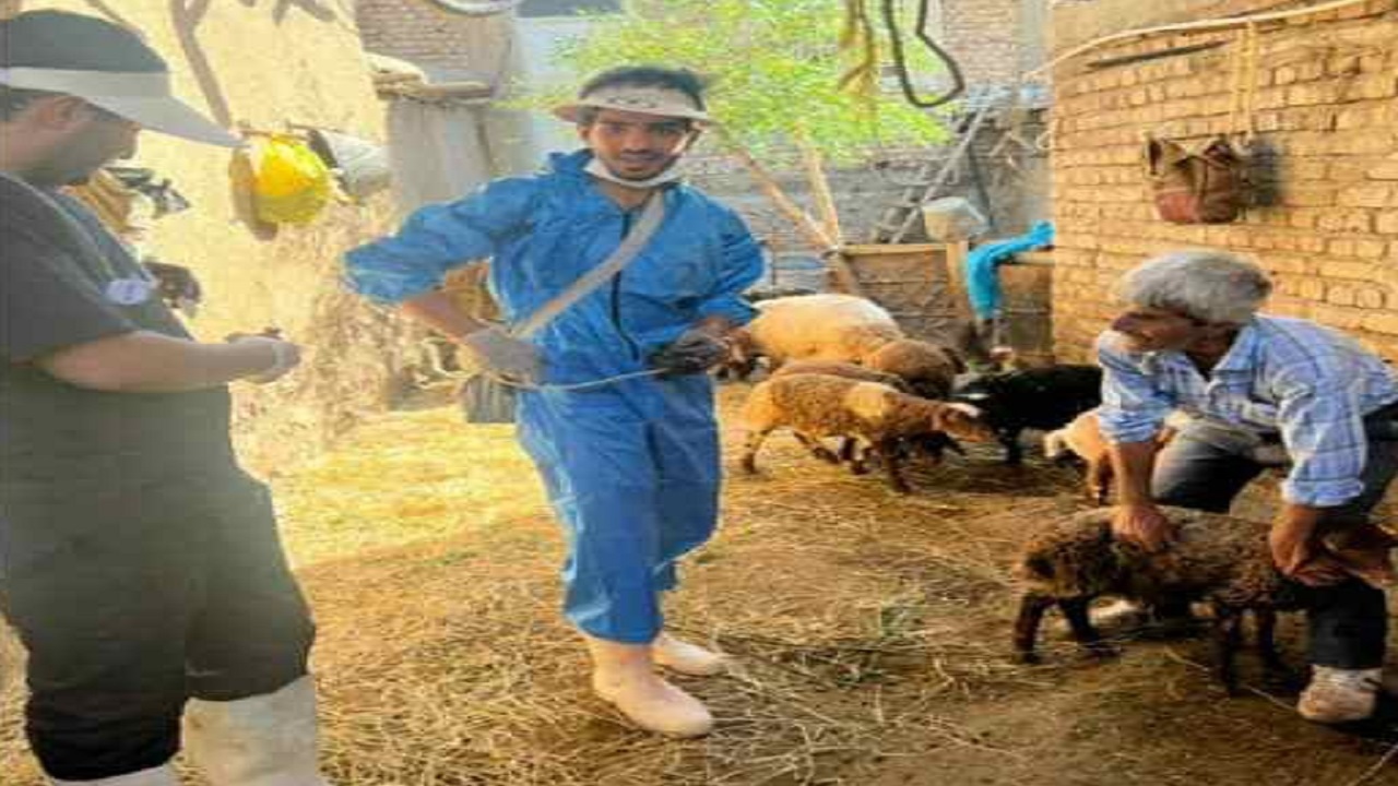 سفر گروه جهادی دامپزشکی به الموت غربی