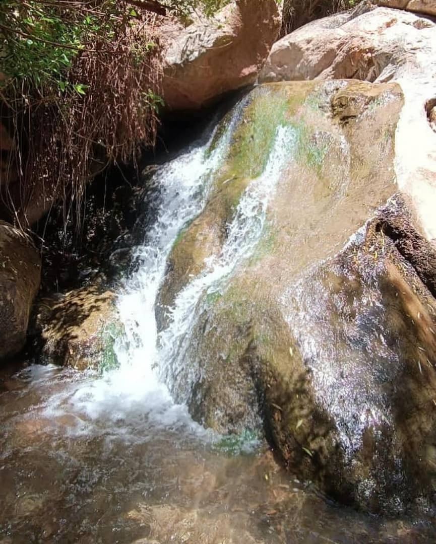 دره ابدال آباد تربت جام