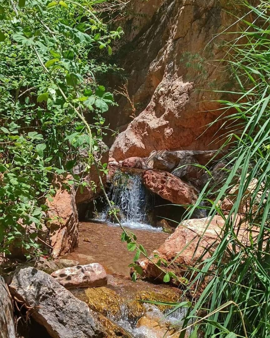 دره ابدال آباد تربت جام