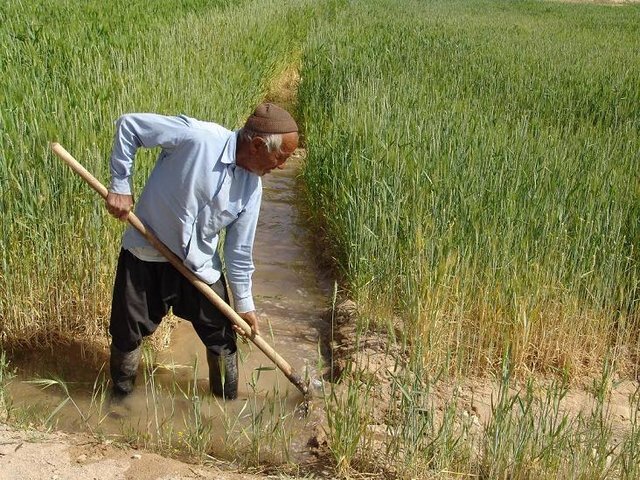 نهاوندشهر رود&zwnj;های خروشان درخطر خشکسالی