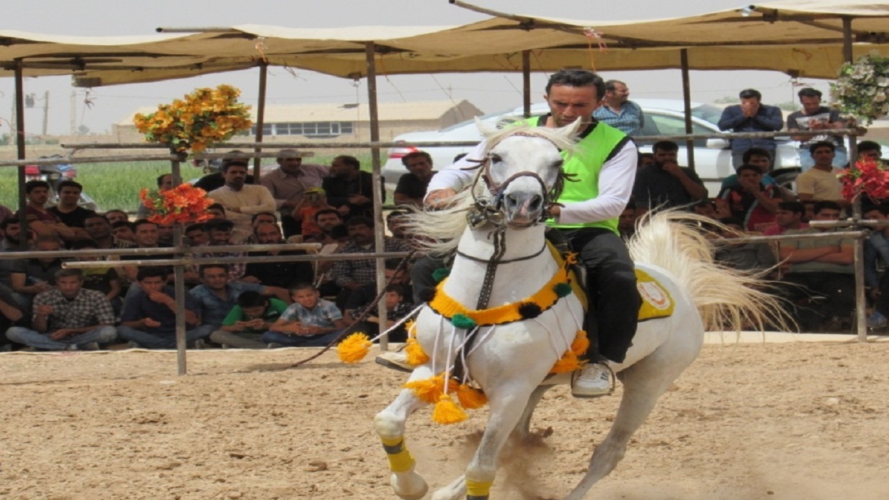 برگزاری نخستین همایش سوارکاری در سامان