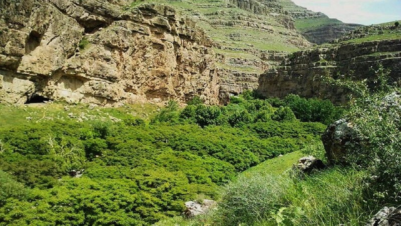 از