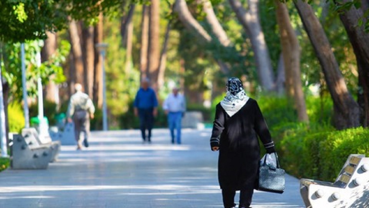 ۱۱ درصد سالمندان گیلان به تنهایی زندگی می‌کنند