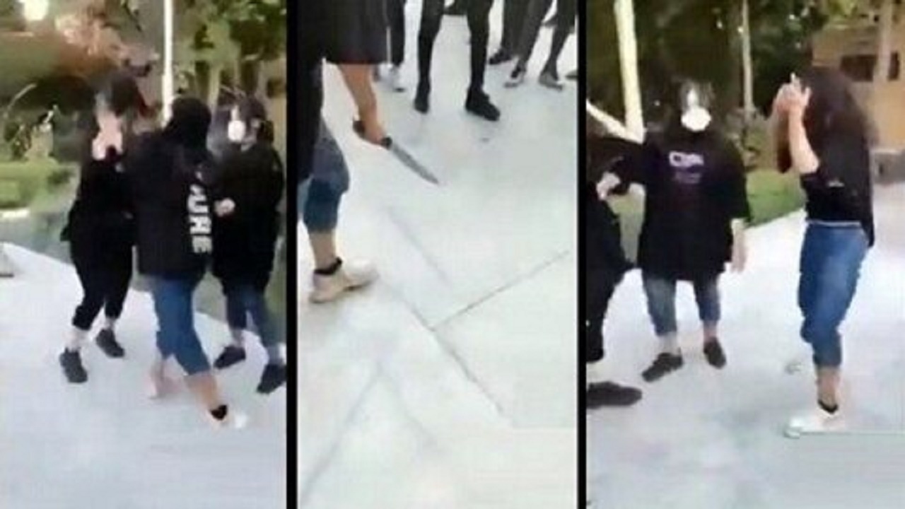 ماجرای درگیری دختران نوجوان در بوستان شغاب بوشهر چه بود؟