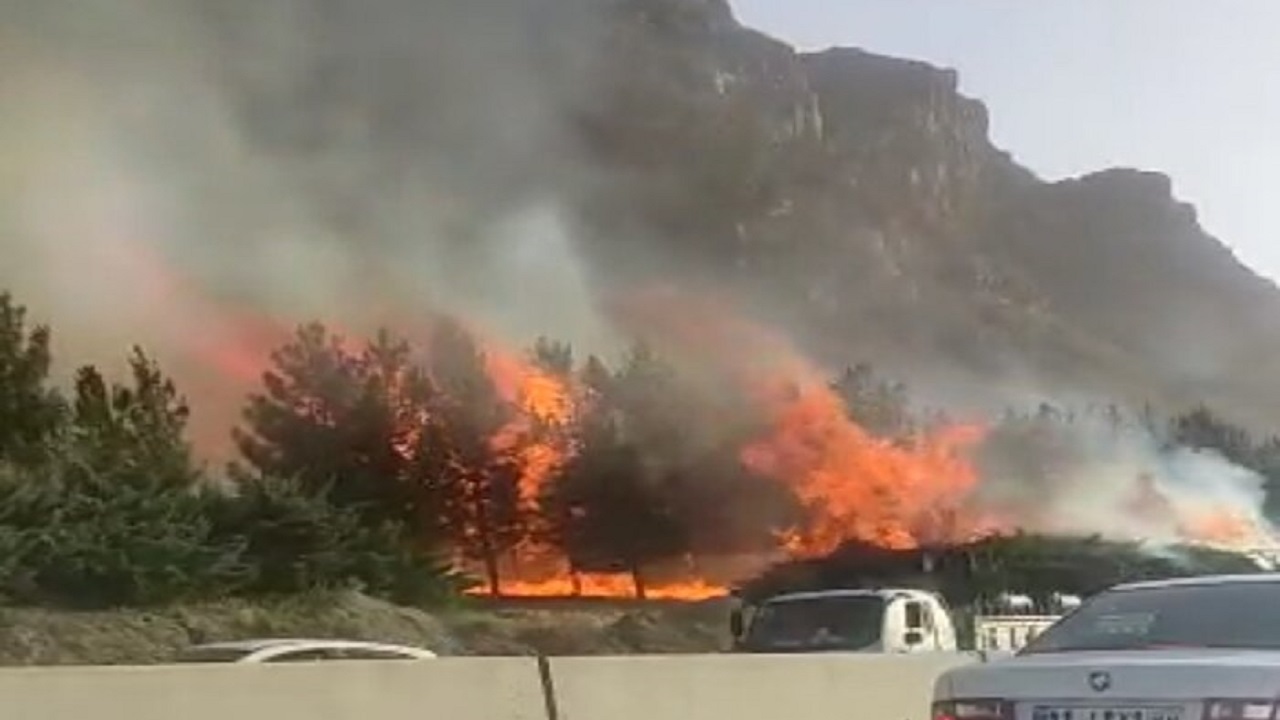 آتش سوزی درختان در اصفهان عمدی است
