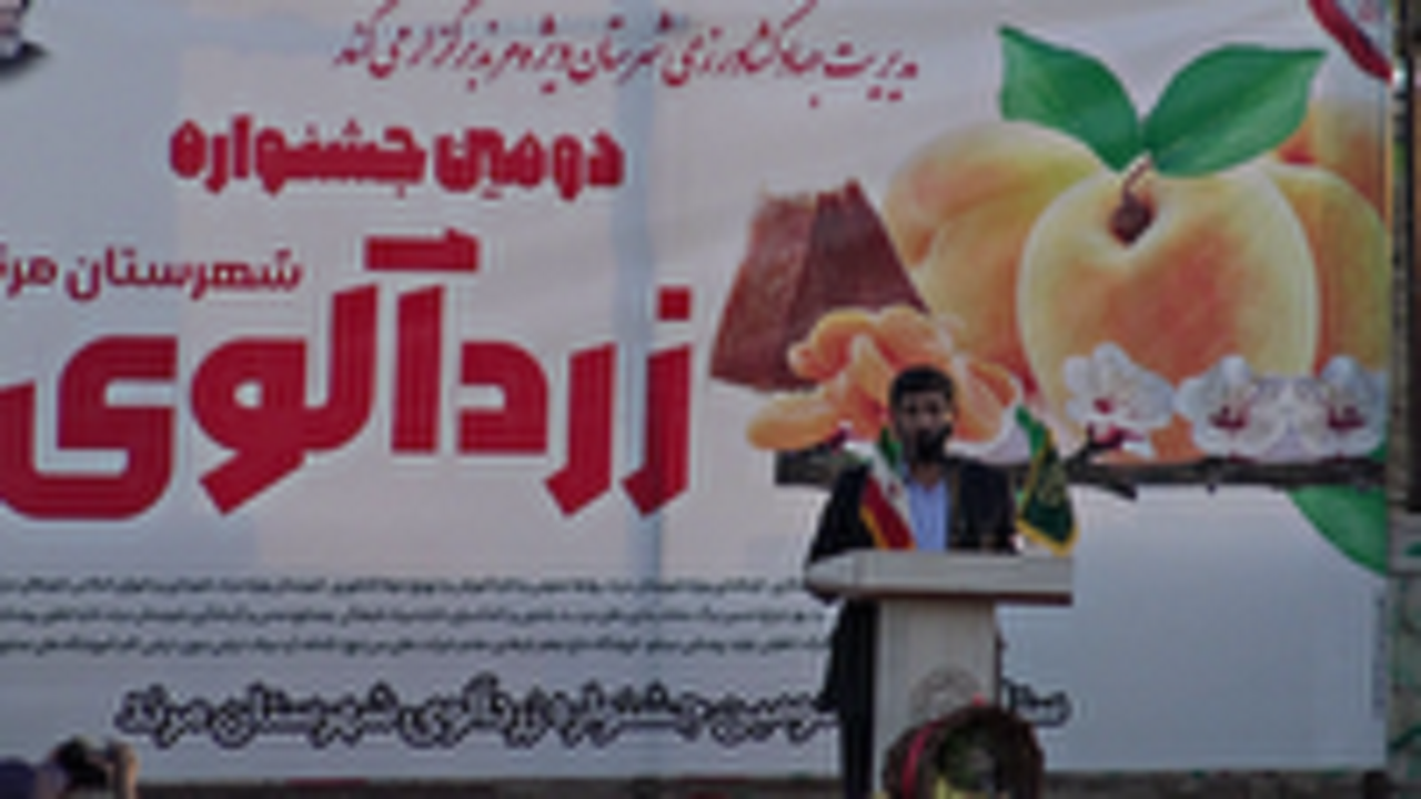 جشنواره زردآلو در مرند