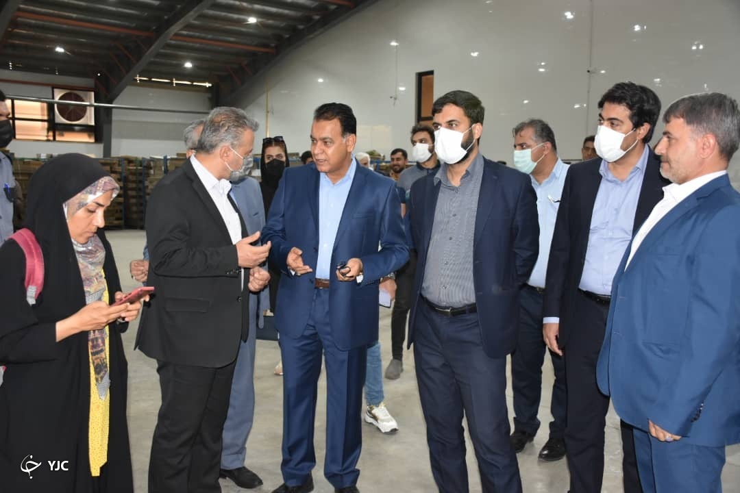 پشتیبانی لجستیکی راهبرد دولت برای حل مشکلات ارزی است