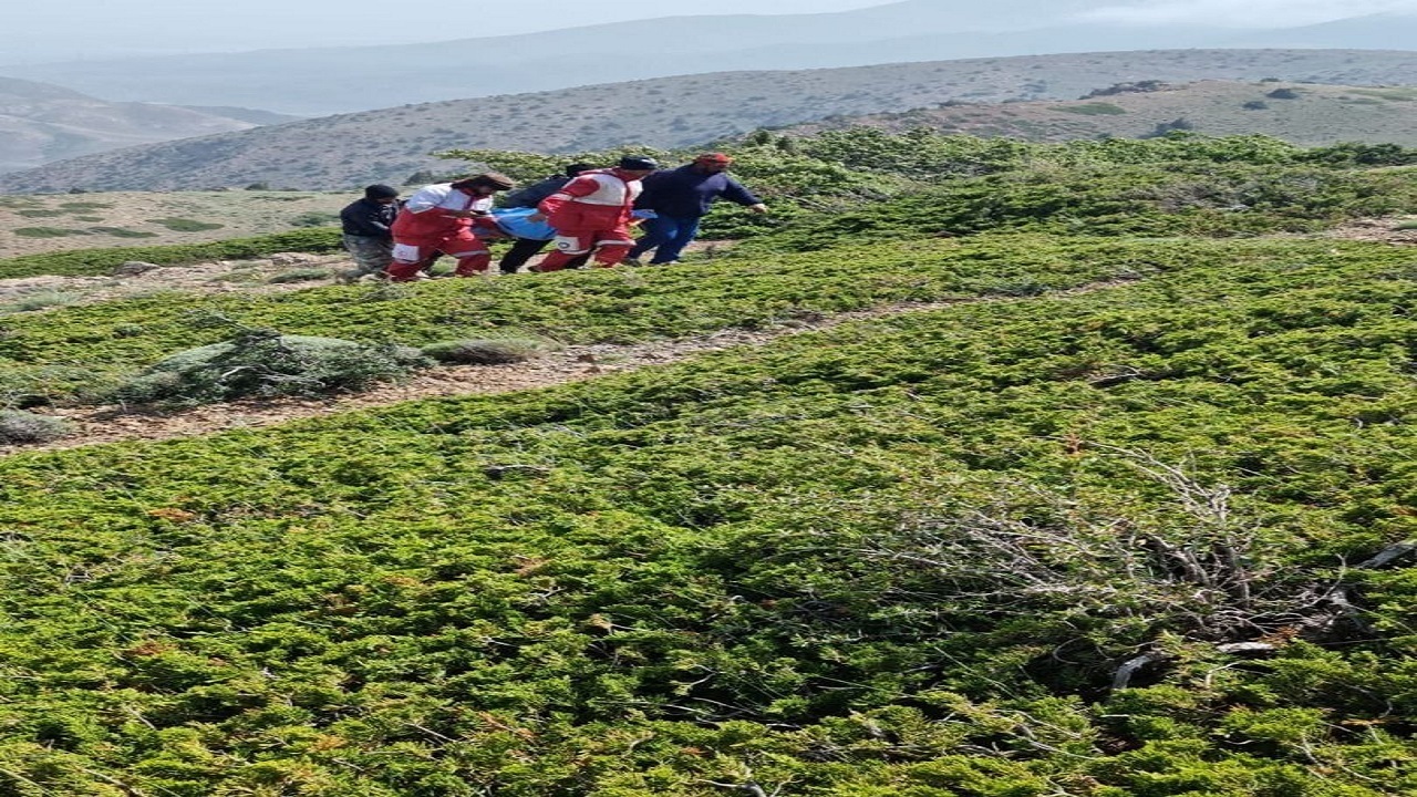 گردشگران گرفتار در دره نجات  یافتند