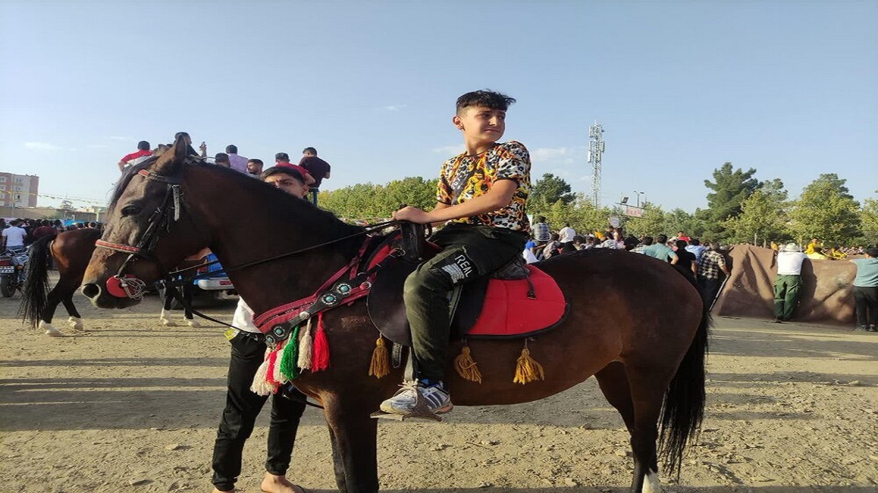 برگزاری همایش بزرگ سوارکاری در ملایر