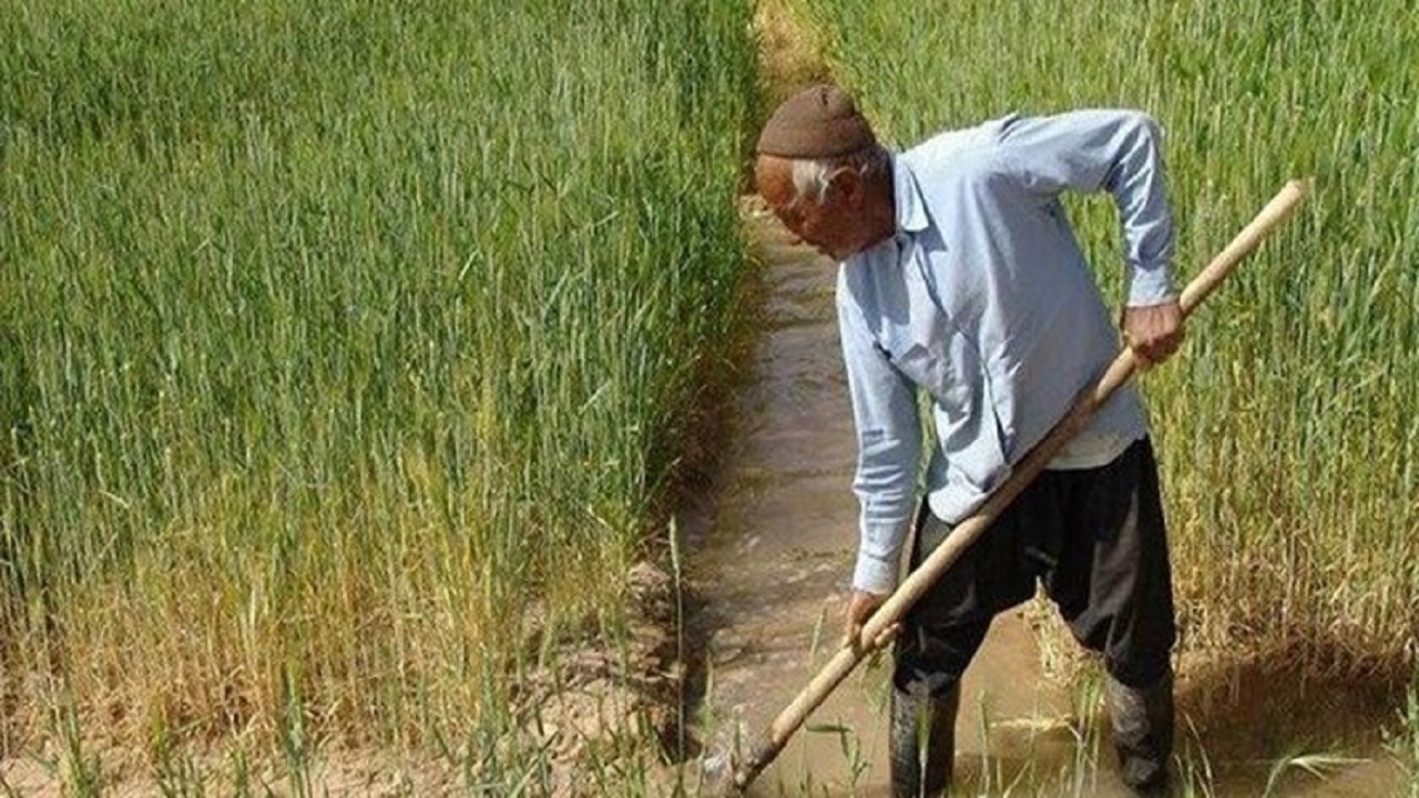 بیمه ۲۰ هزار کشاورز در استان اردبیل