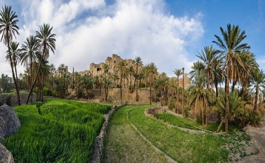 در روستای نایبند شاهد تقابل همزمان نخل و نارنج را بر کرانه کویر هستیم