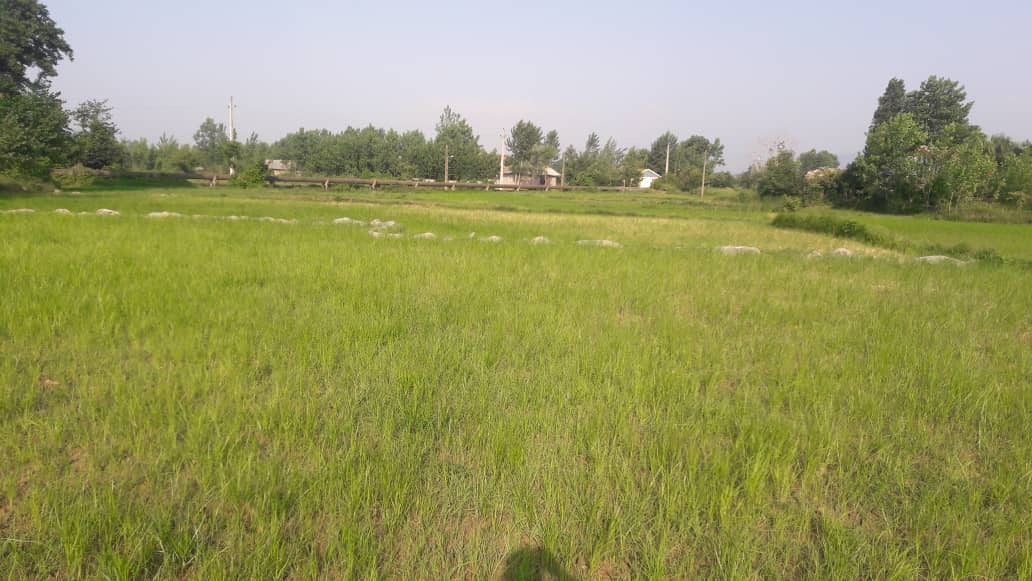 از