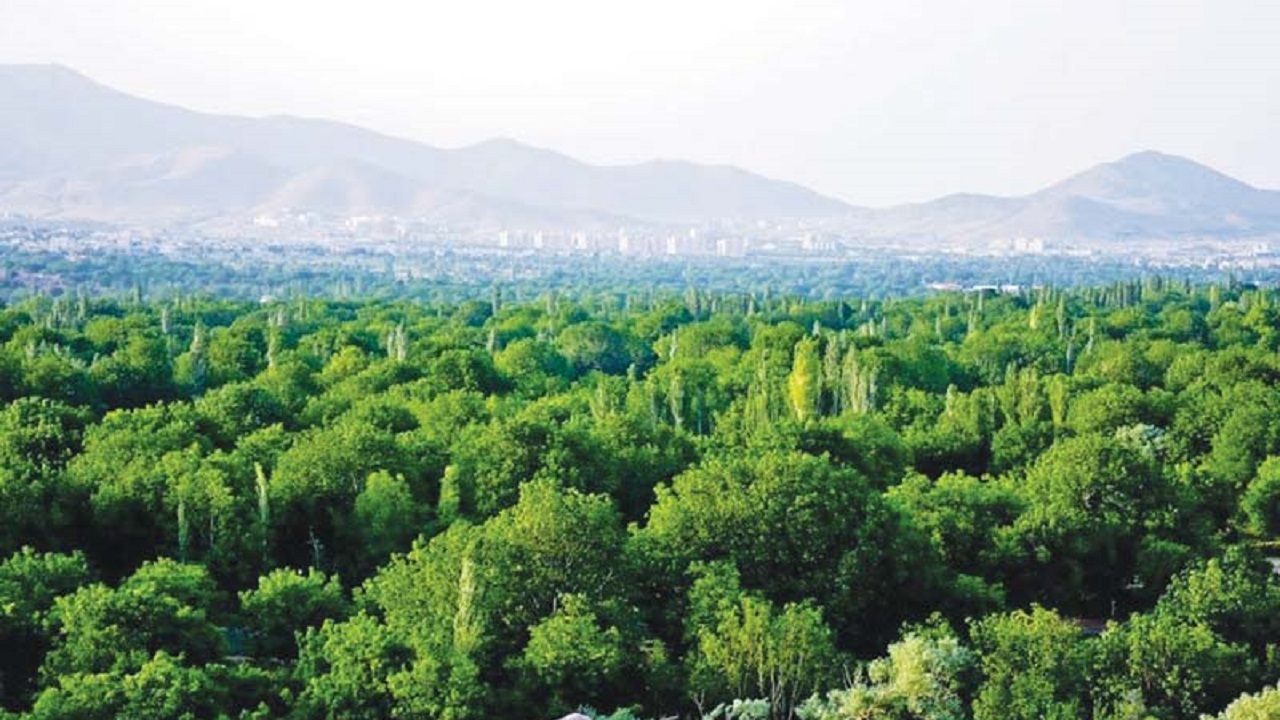 افتتاح مرحله اول آبیاری مناطق جنگلی چقا و شهید باهنر اراک با پساب تا پایان سال