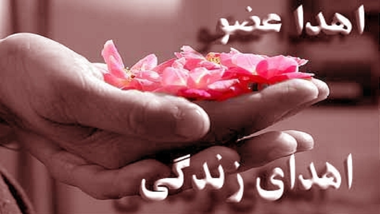 اهدای عضو به زندگی چند بیمار حیات دوباره بخشید