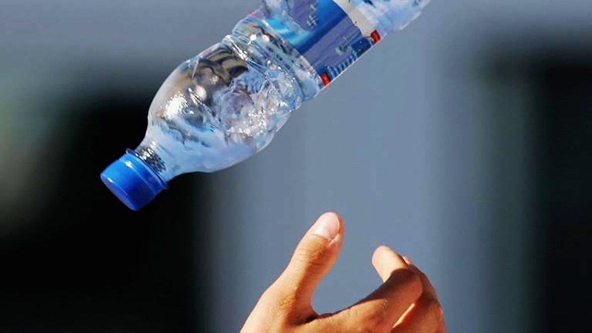 مراحل تولید تا توزیع گردو + فیلم