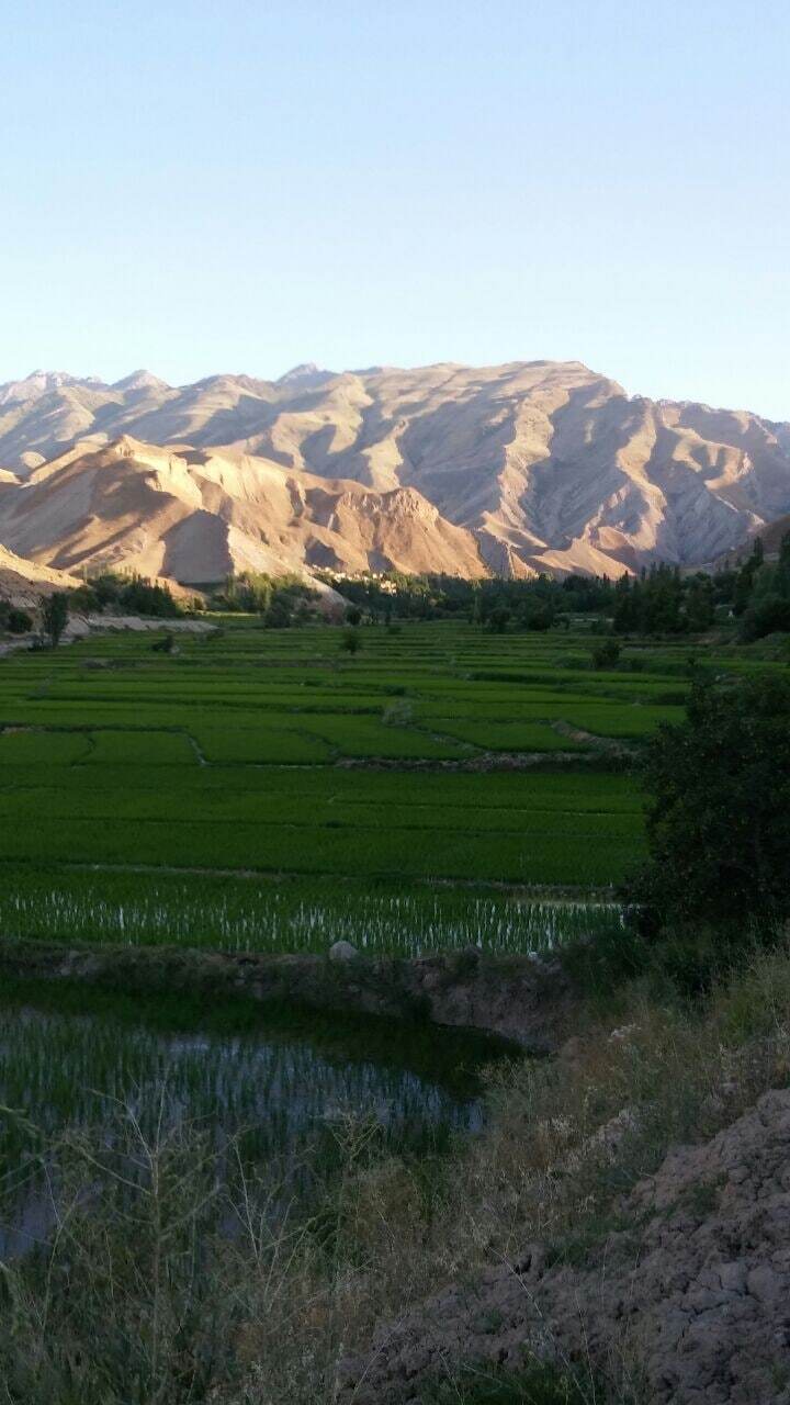روستای ایدلیک تصاویری از طبیعت تابستانی روستای ایدلیک