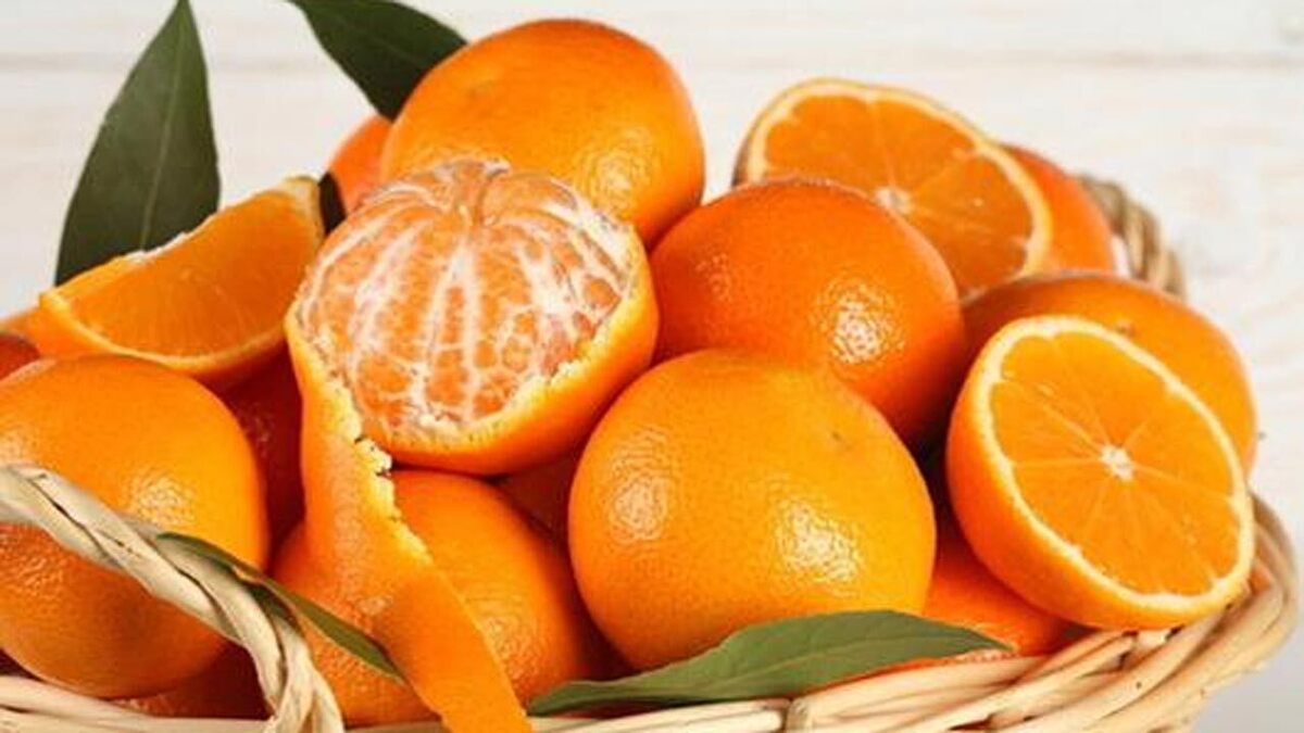 آموزش کیک دبل چاکلت فندقی + فیلم