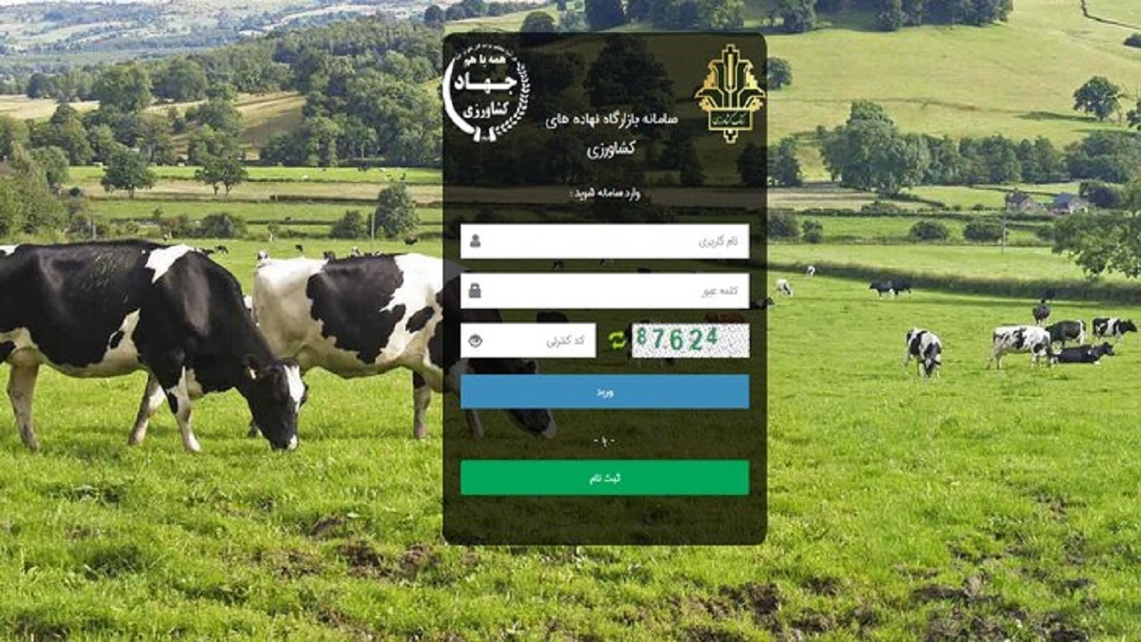 بازارگاه هیچ ارتباط سیستمی با گمرک ندارد