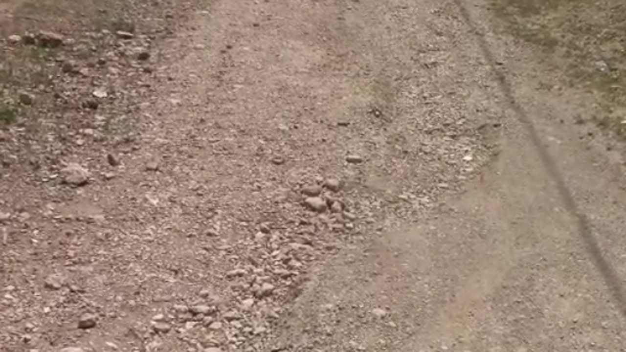 قطعی آب اهالی کوی مهدیس را به دردسر انداخت/ فرسودگی آسفالت؛ درد دل این روز&zwnj;های محله سرجاز شد