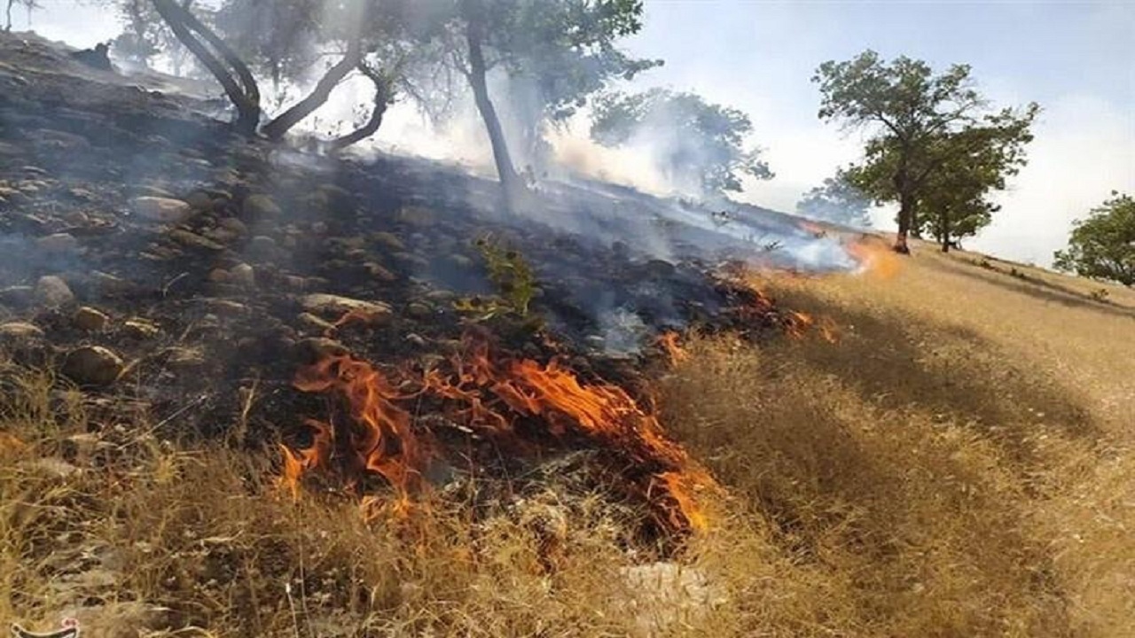 مهار آتش‌سوزی باغات در جنوب کرمان
